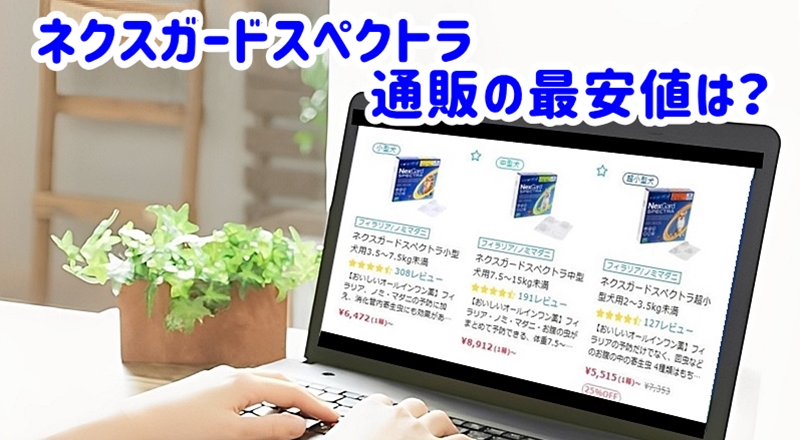 ネクスガードスペクトラ通販の最安値は
