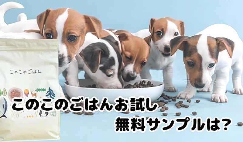 サンプル